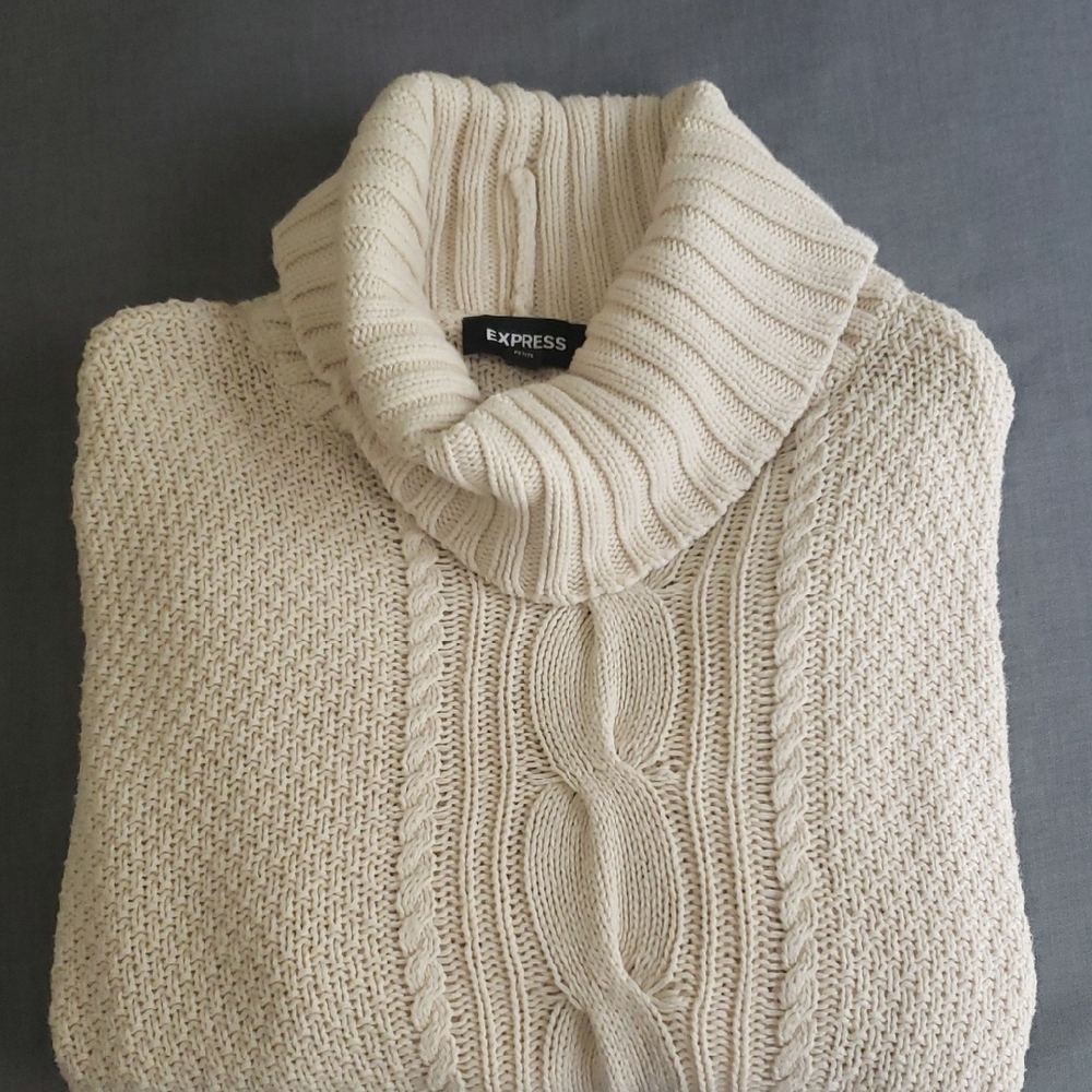 Express Ivory Cable Knit Turtleneck
